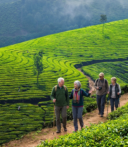 Seniors’ Special Kerala