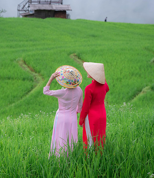 Best of Vietnam