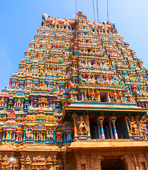 Wonders of Kerala